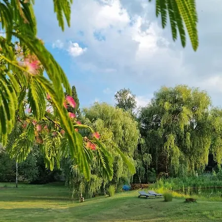Case de vacanță 2 Im Natur-resort Pool, Schwimmteich & Sauna Kiskunmajsa