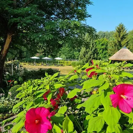 2 Im Natur-resort Pool, Schwimmteich & Sauna *